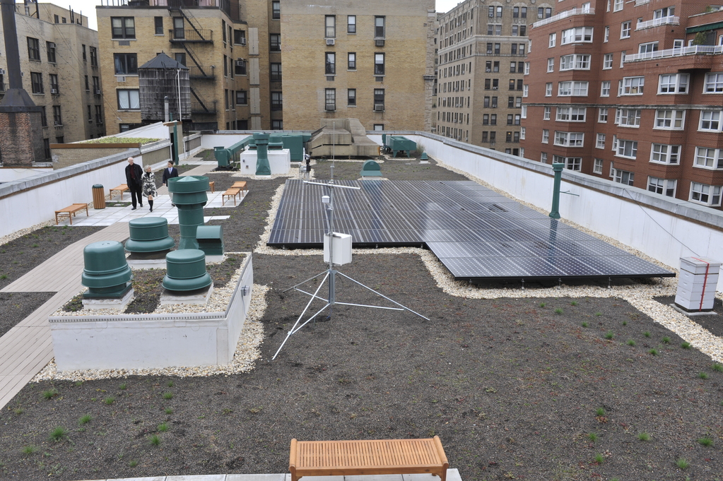 GREEN SCENE—Vegetation and native grasses are part of the landscape on the green roof atop Regis High School, which was dedicated Oct. 5 at a ceremony led by school president Father Philip Judge, S.J.