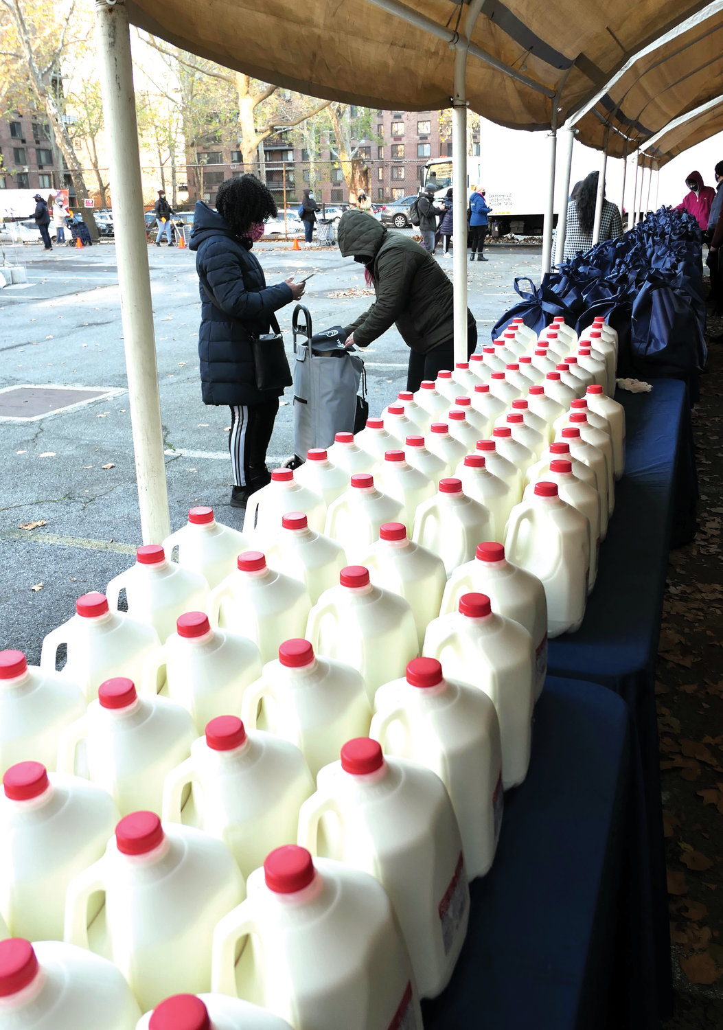 Archdiocesan Catholic Charities distributed 500 turkeys along with the trimmings for a bountiful Thanksgiving meal at the Lt. Joseph P. Kennedy Community Center in Harlem. Plenty of milk was also given out.